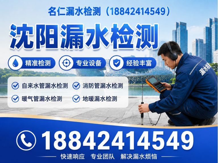 康平县地下漏水检测展示图